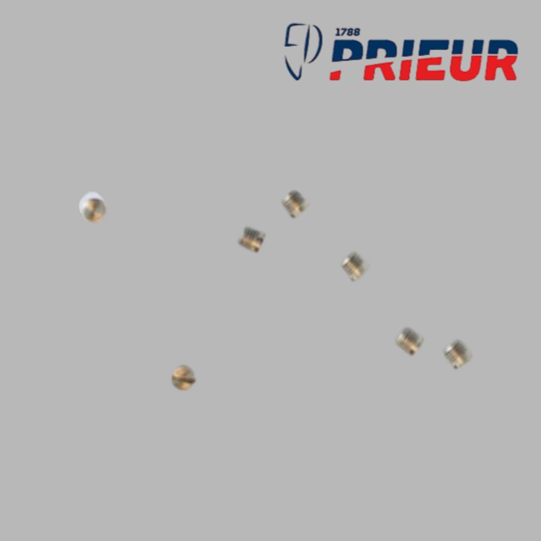 Prieur Foil French Screw (10 U.)