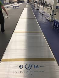 Fencing Piste BG
